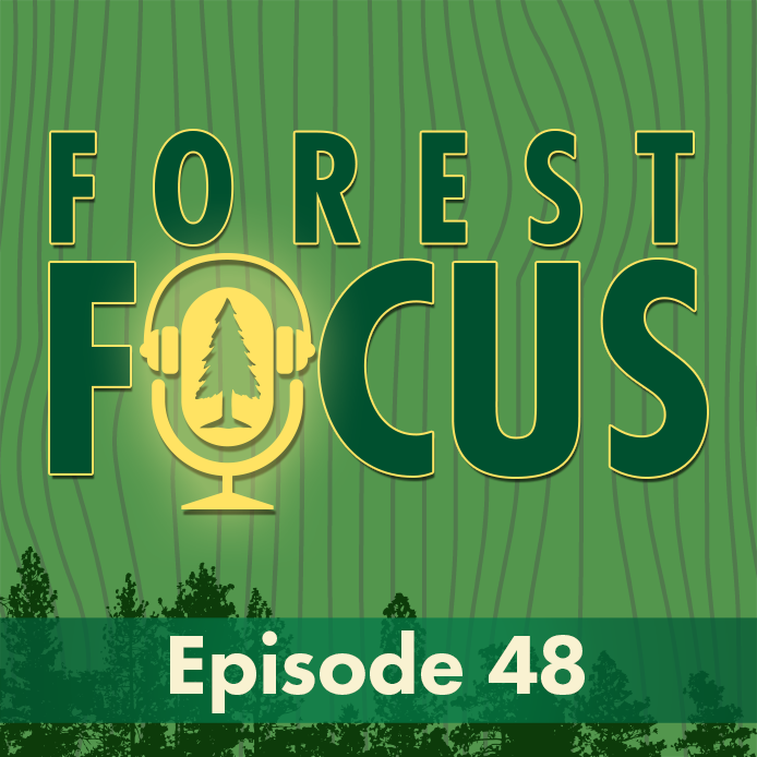 cover of episode Episode 48: For the Frogs - Construction