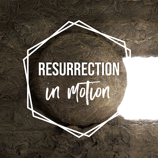 Good Shepherd Community Church - Sermon Series