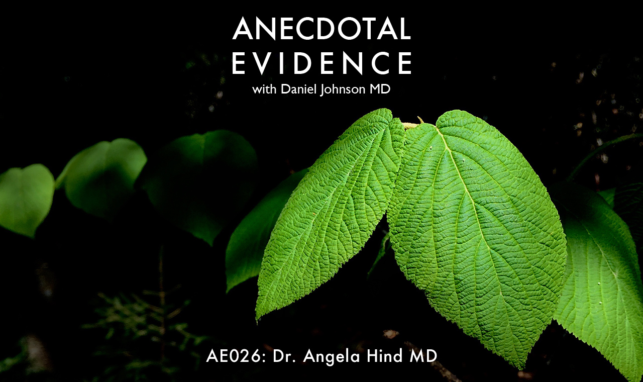 AE026 - Angela Hind, MD - Ethical Medicine in a Toxic World.mp3