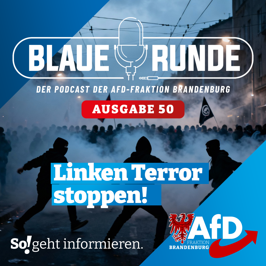 Linken Terror stoppen! | Die Blaue Runde, Ausgabe 50/25 vom 26. September 2025