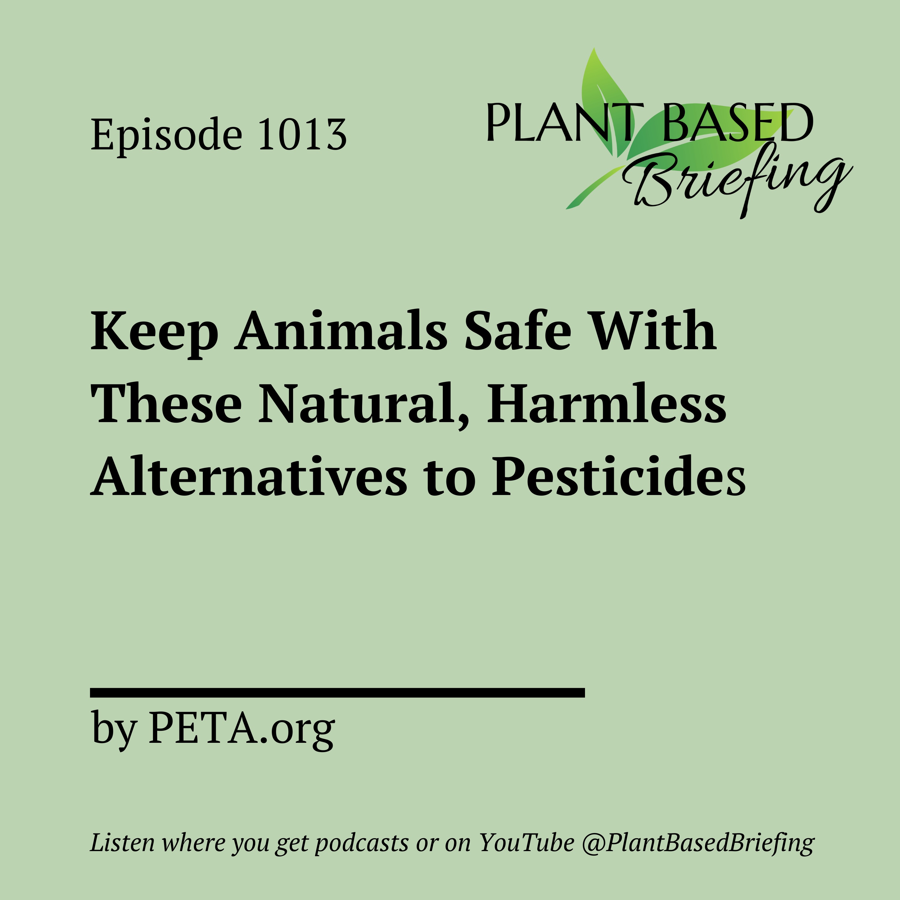 Plant Based Briefing