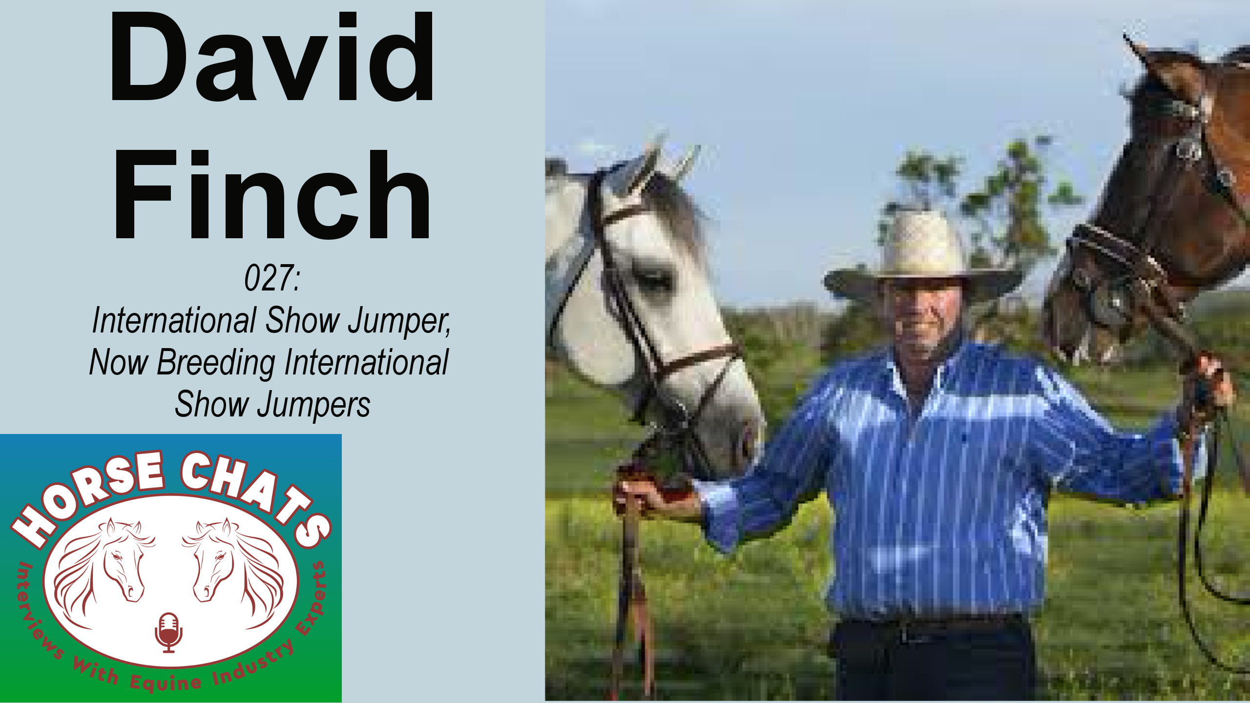 0027: David Finch - International Show Jumper, Now Breeding International Show Jumpers