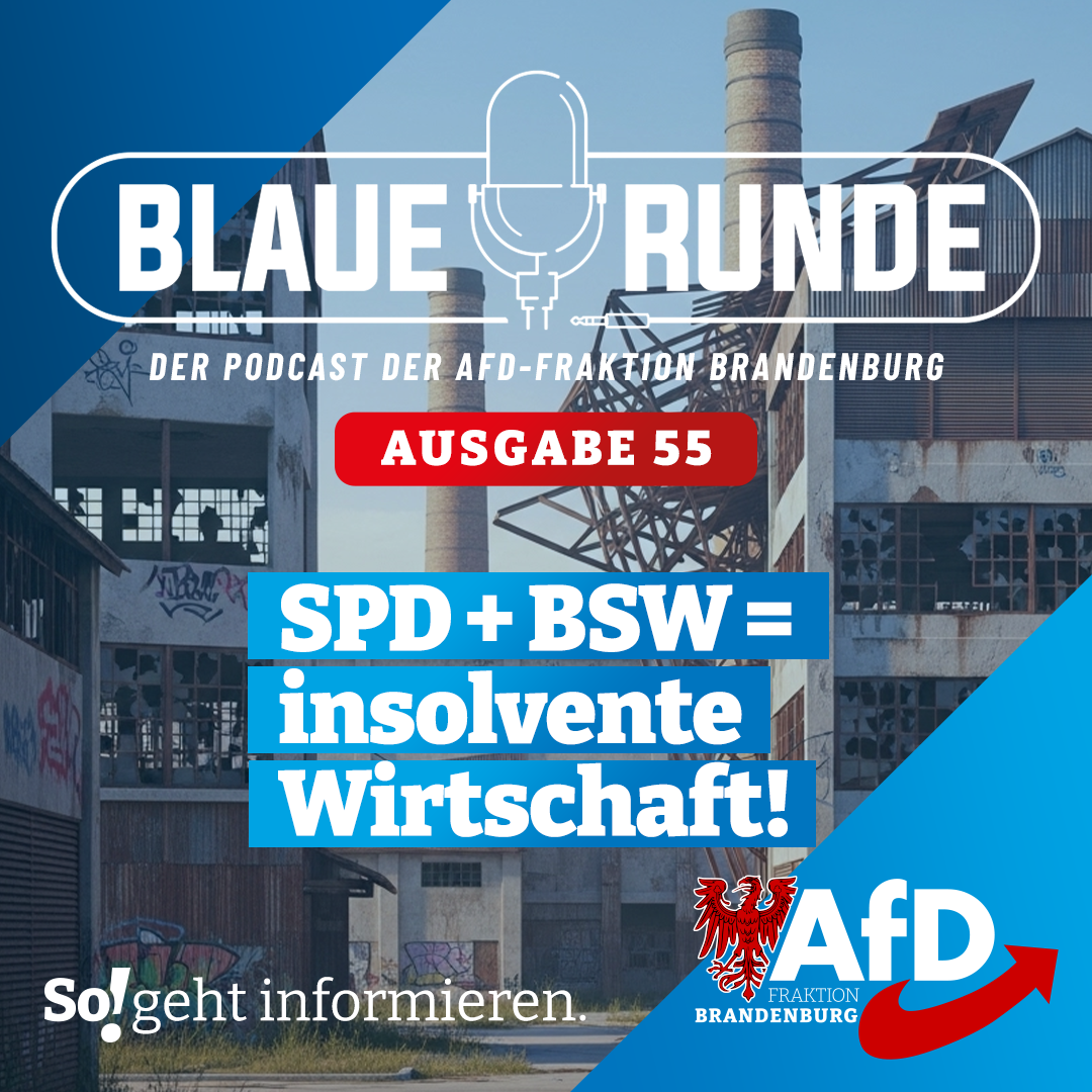 SPD + BSW = insolvente Wirtschaft! | Die Blaue Runde, Ausgabe 55/25 vom 16. Oktober 2025