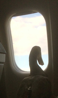 135 The Tubes of Terror