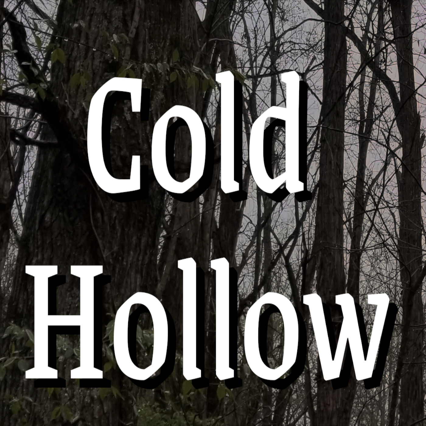Cold Hollow episode artwork