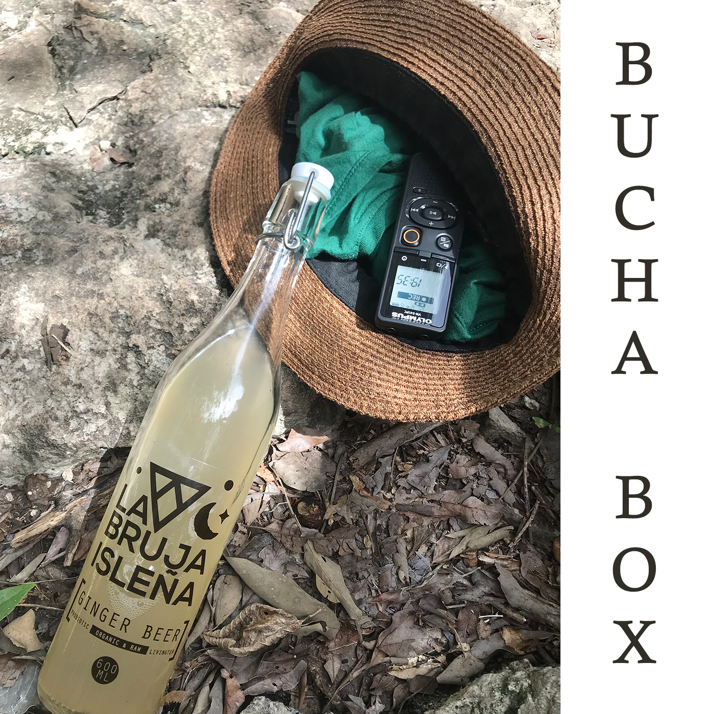 Bucha Box - Traveling Kombucha Podcast