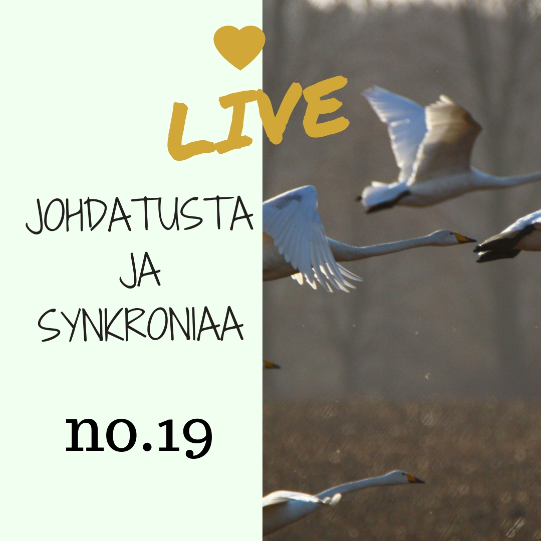 Valo Minussa