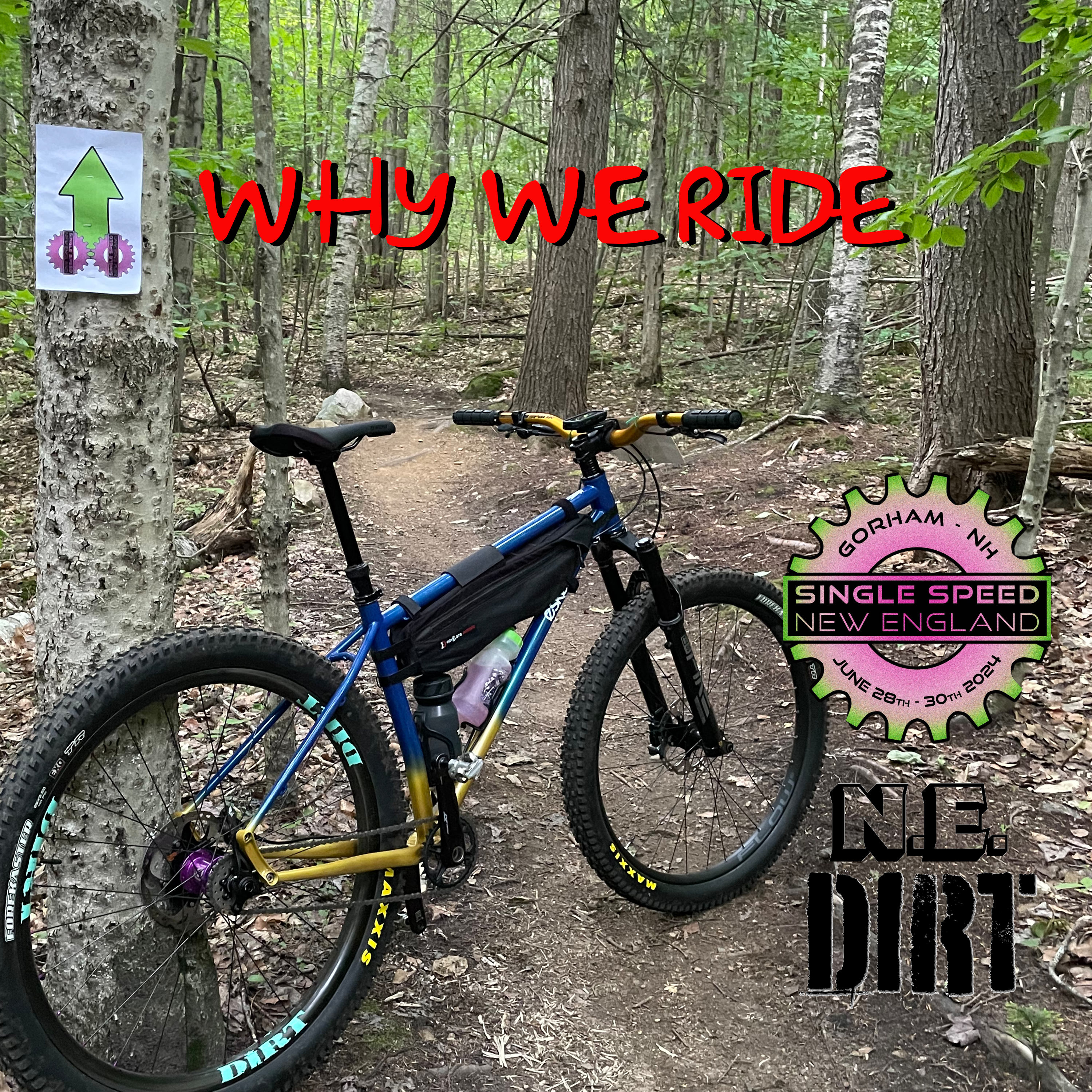 NE Dirt: WWR Live - Single Speed New England
