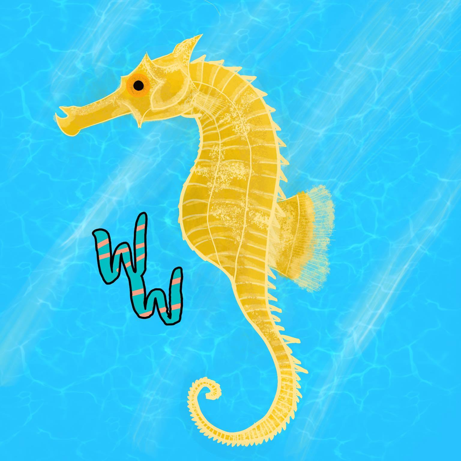 Lined Seahorse