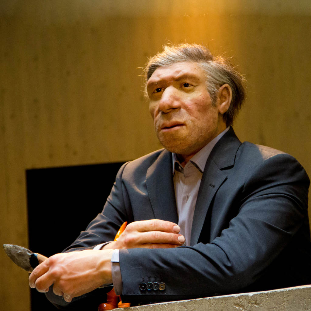 Neanderthal Grand Design