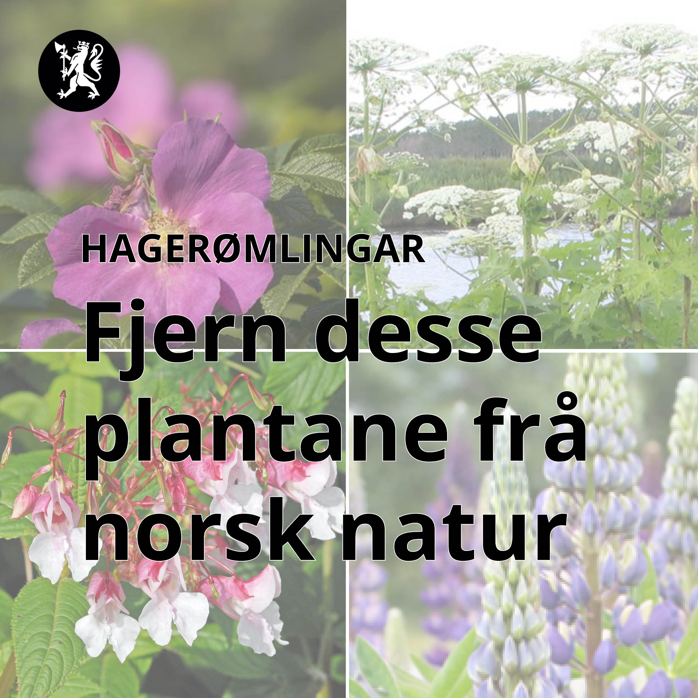 For folk og natur