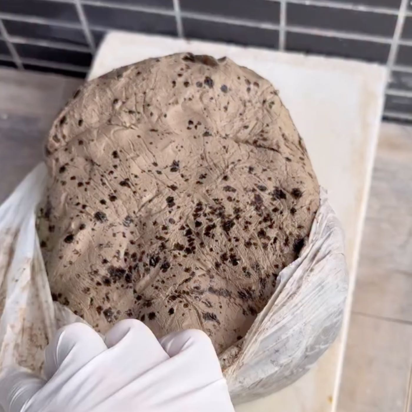 869. Moldy Clay 869. Moldy Clay