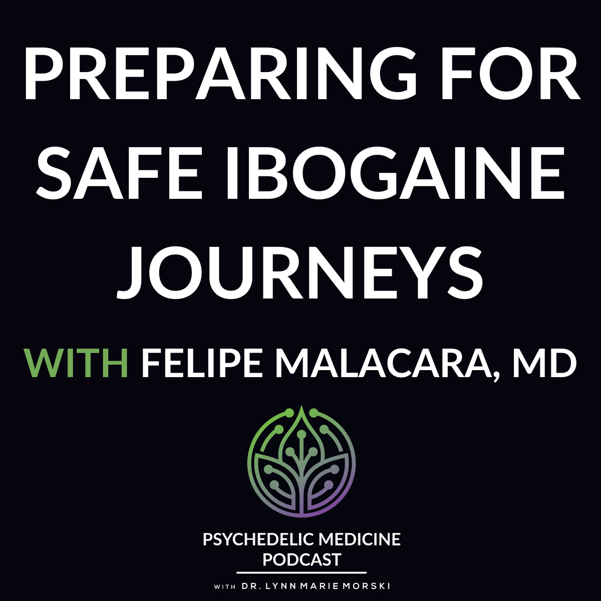Psychedelic Medicine Podcast with Dr. Lynn Marie Morski