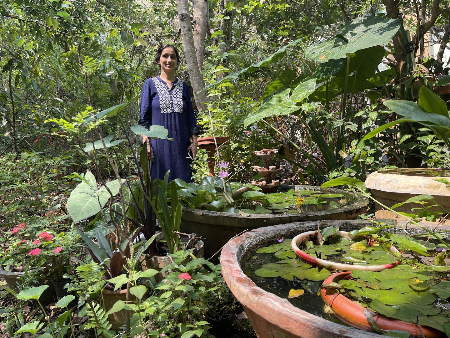 Bird Podcast with Shoba Narayan