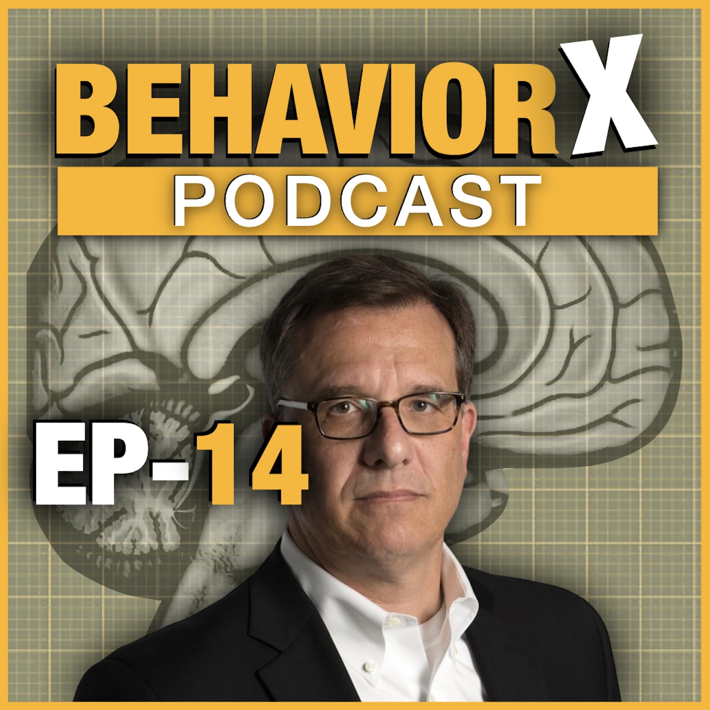 Behavior-X EP 14 - Your Body Language Questions Answered
