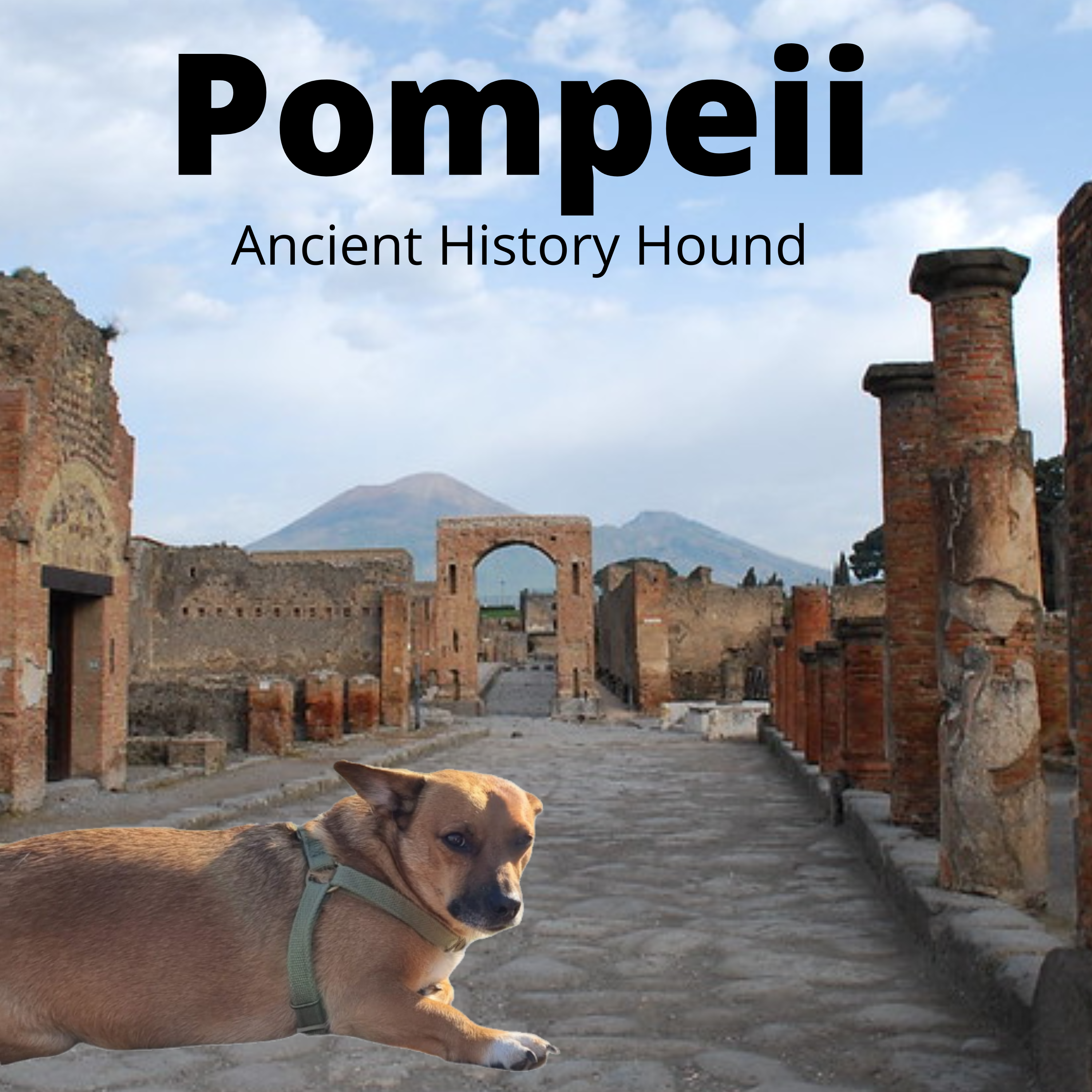 Ancient History Hound