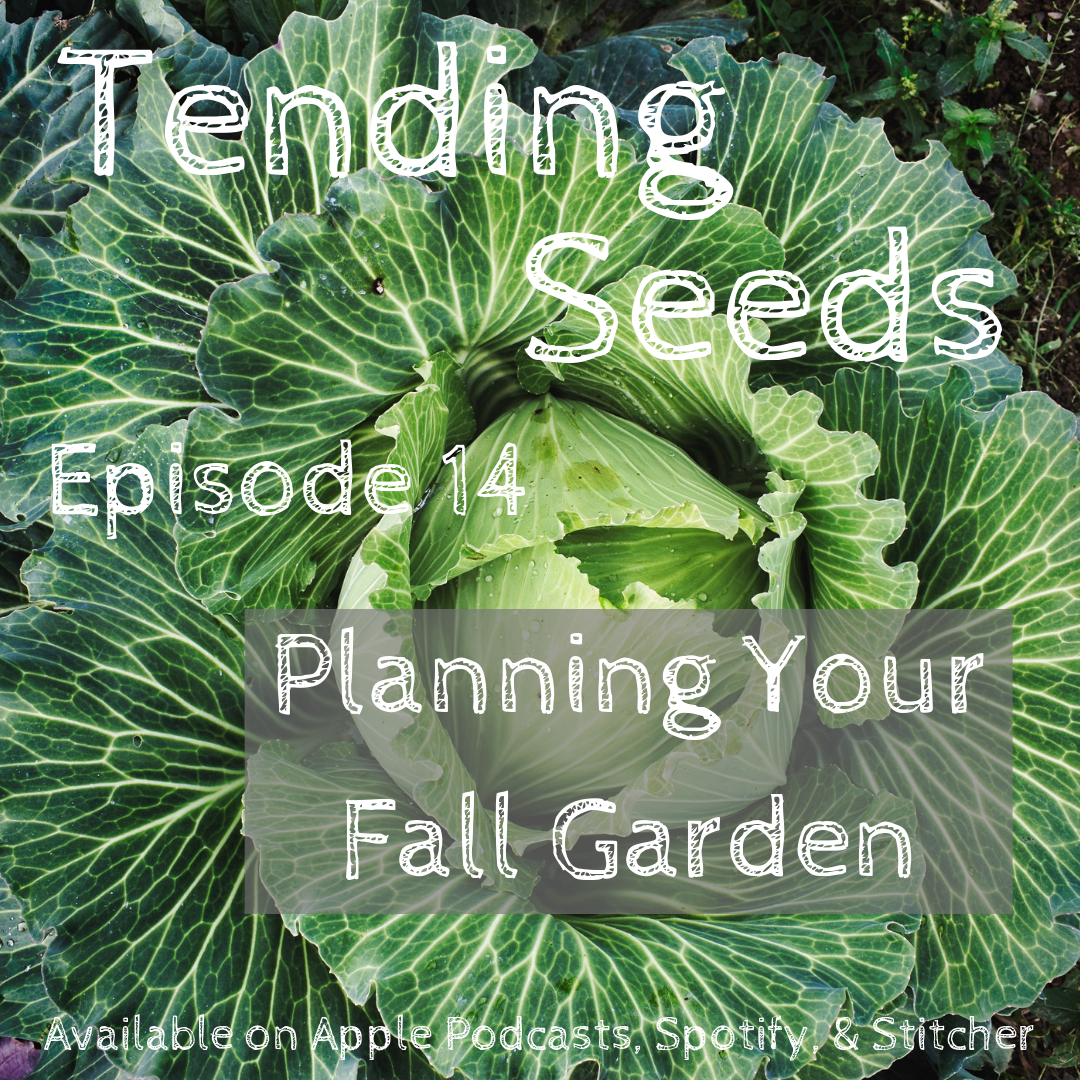 Tending Seeds: Adventures in Gardening, Homesteading, and Herbalism