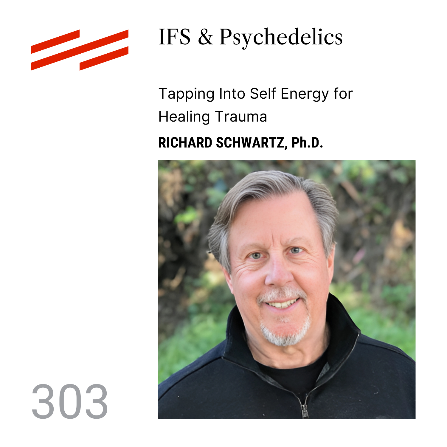 The Psychedelic Podcast