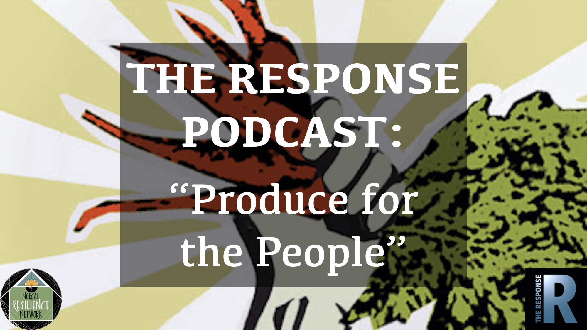 Produce for the People: Community resilience and food security
