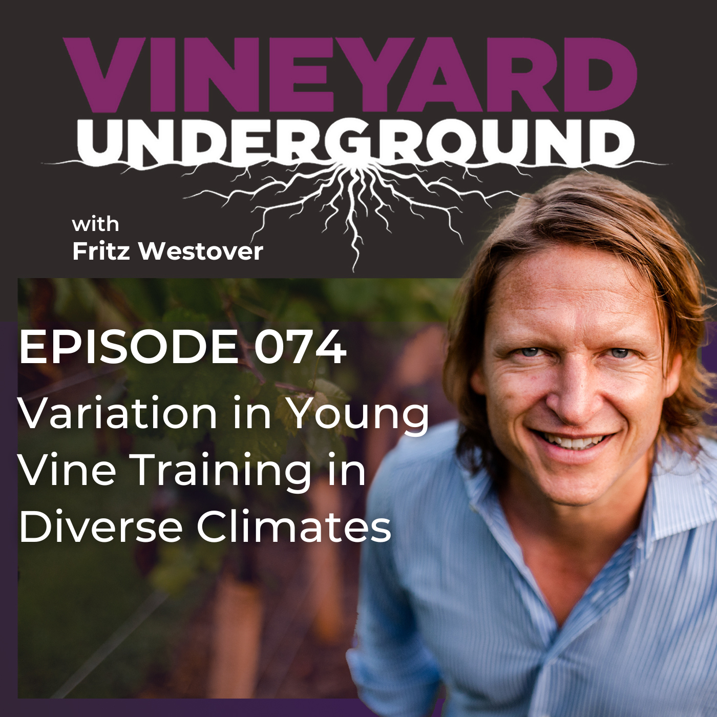 Vineyard Underground