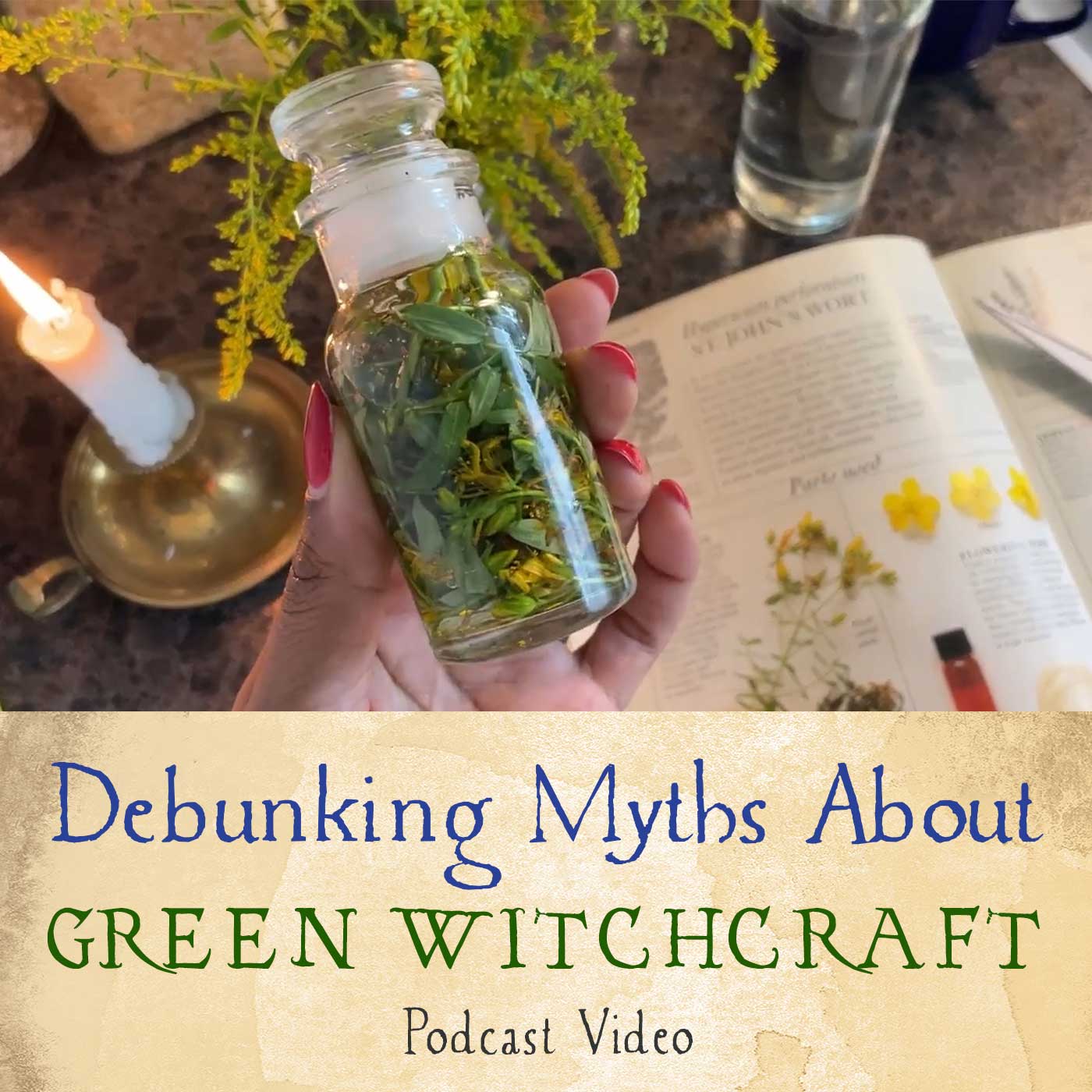 179 Things I Wish I Knew Before Becoming A Green Witch