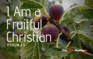I Am a Fruitful Christian