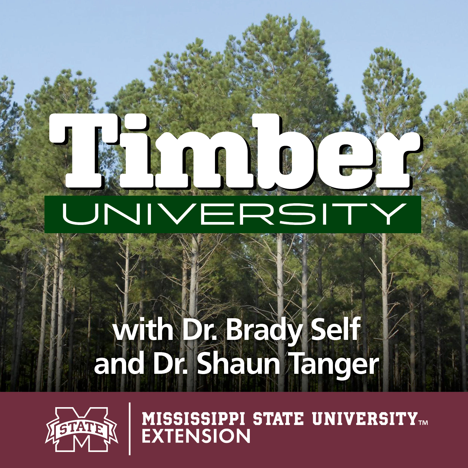 #95 | Timber University - Introducing Timber University