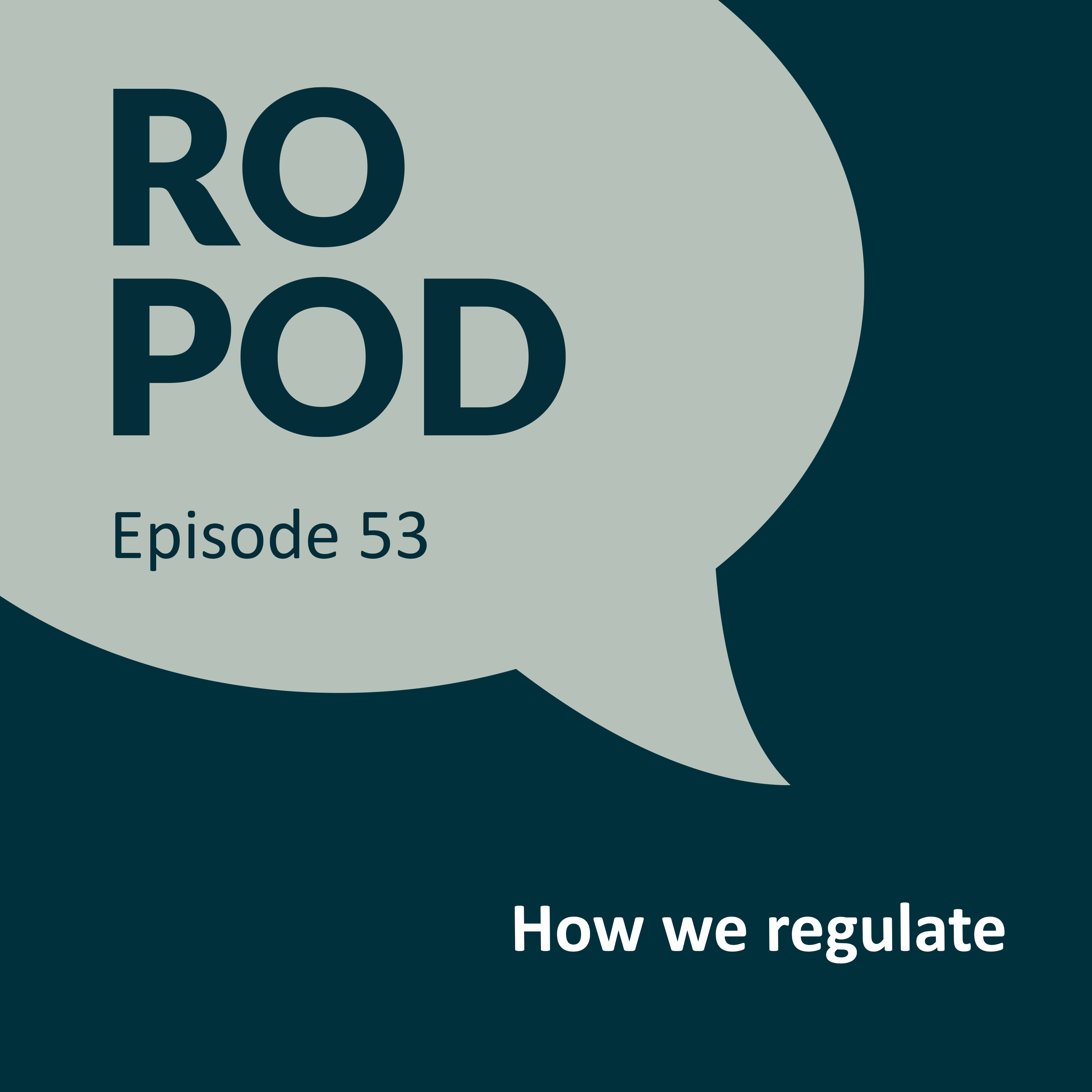 Episode 53: How we regulate