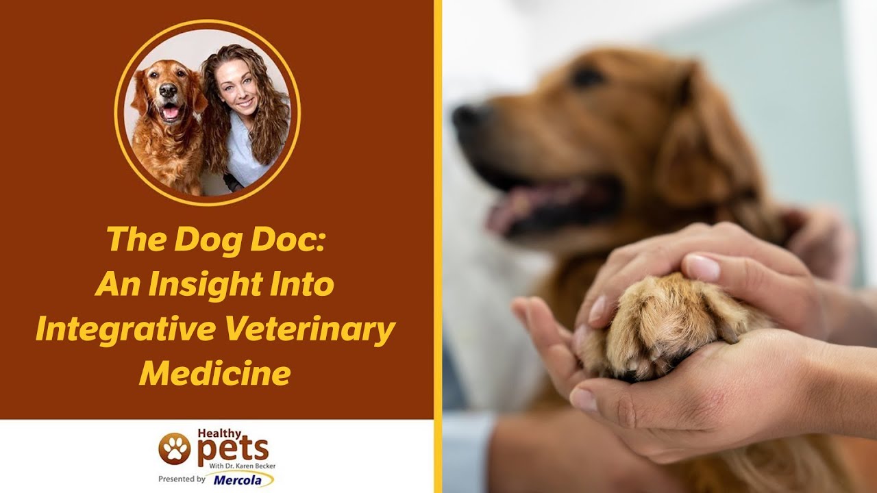 Take Control of Your Pet\'s Health with Dr. Becker