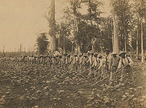 What\'s Left of the South
