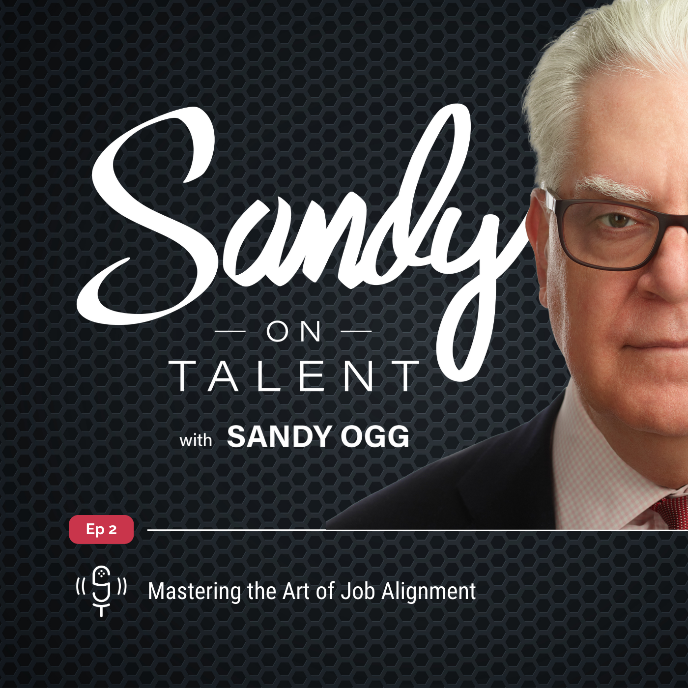 Sandy on Talent - Insights and Strategies for Leadership Excellence and Talent Optimization