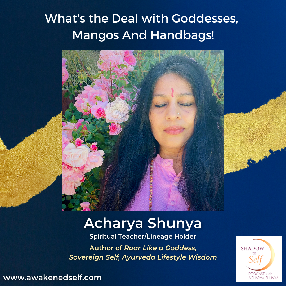 Shadow to Self with Acharya Shunya