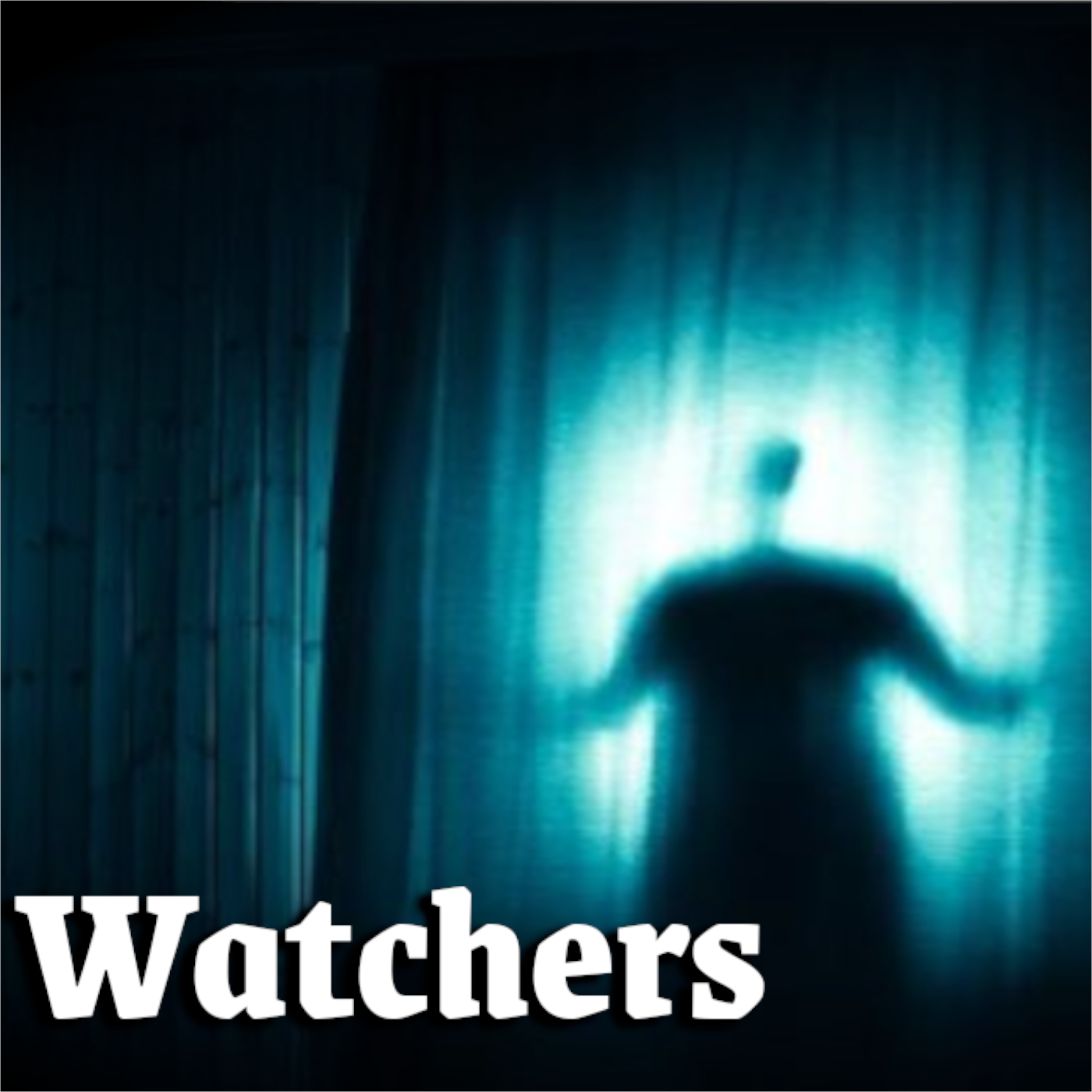Watchers