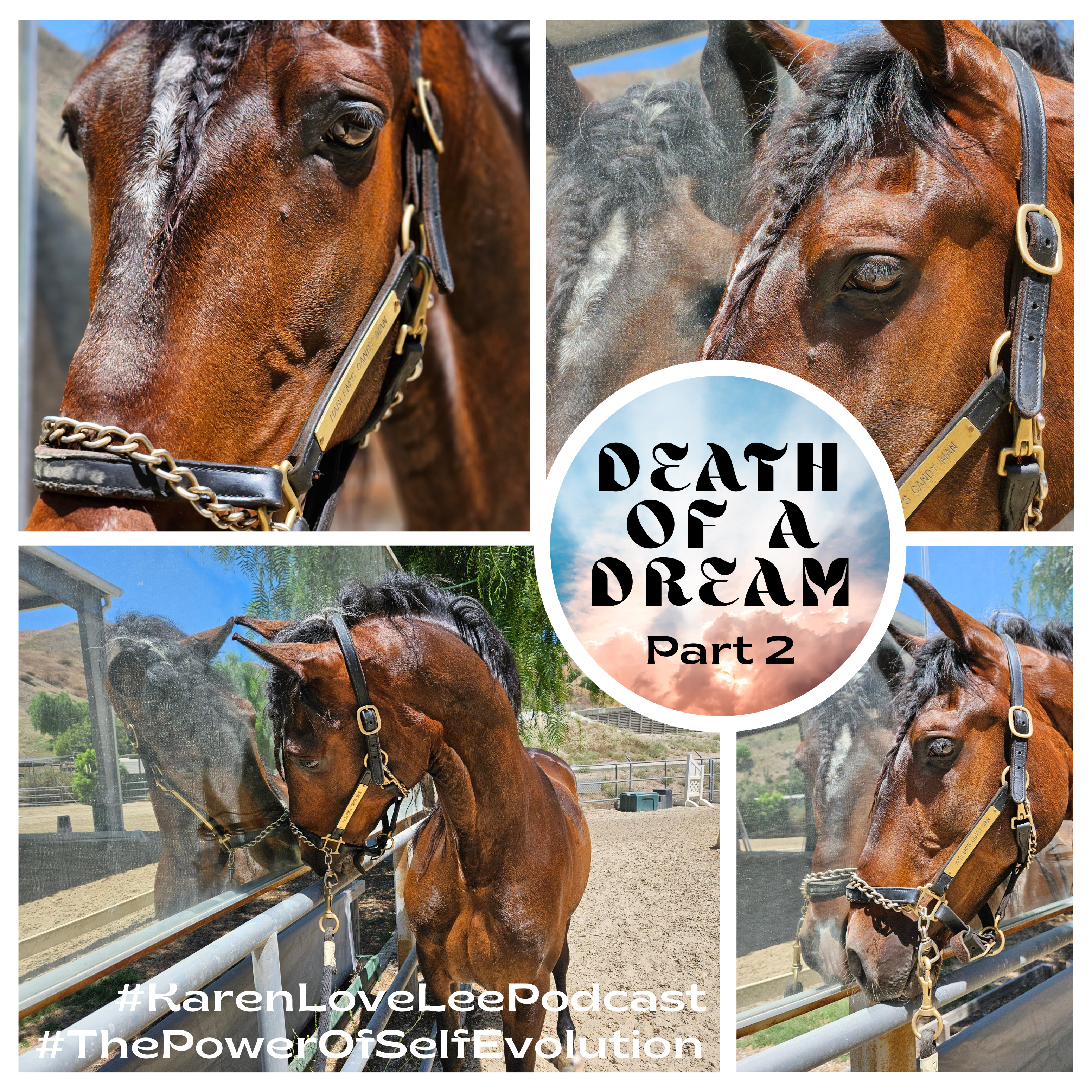 Death of a DREAM & Transformation After the Loss of Someone or Something [Part 2-3]
