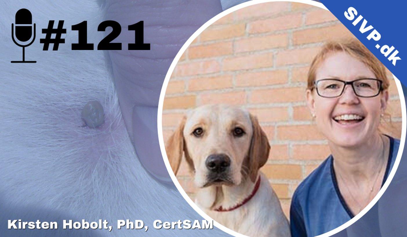 Succes I Veterinær Praksis Podcast - Sammen om at blive bedre