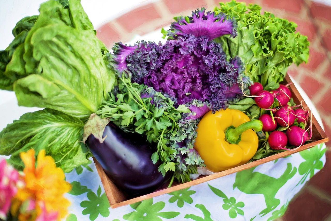 Vegetable Gardening: Part 1 - Ep. 18