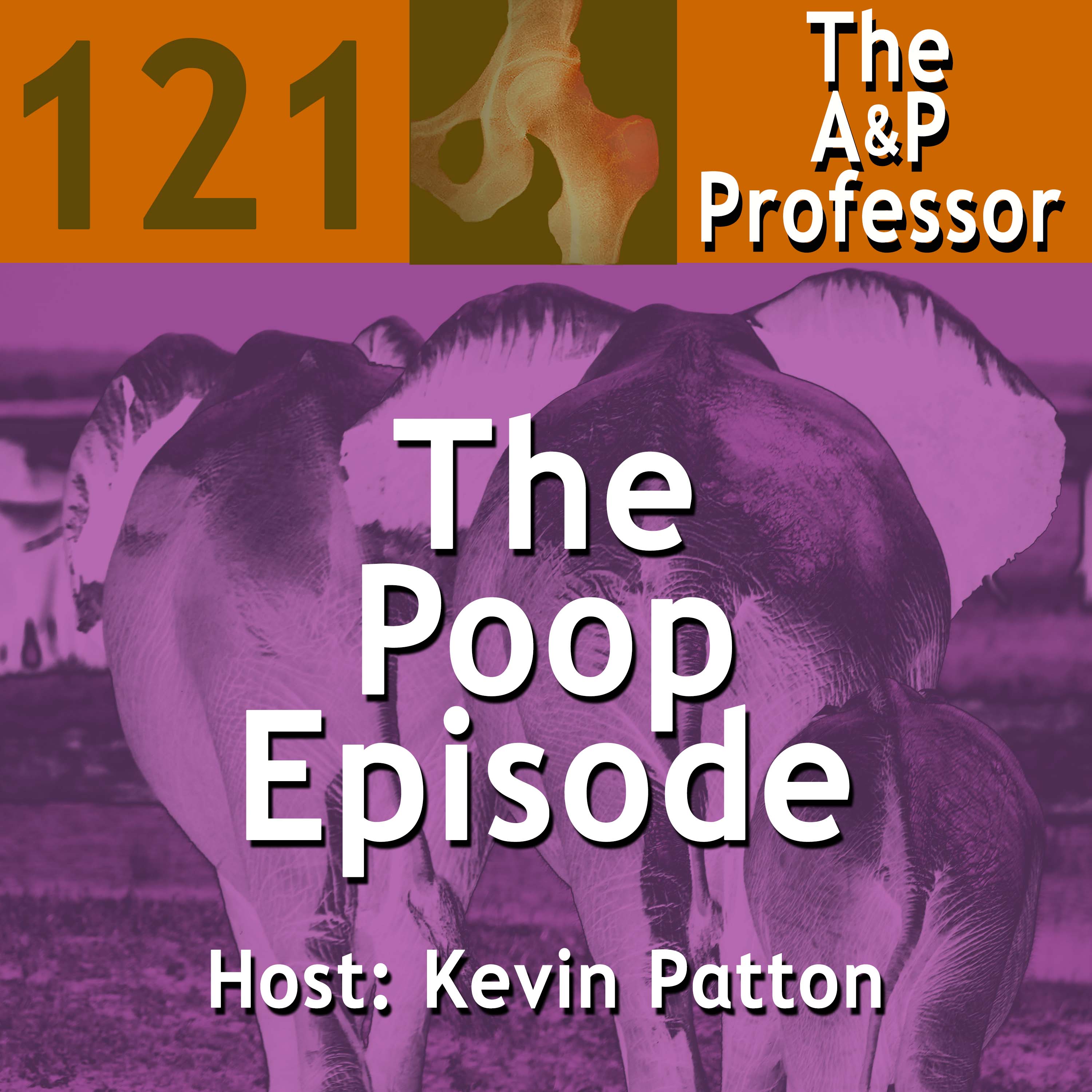 The A&P Professor
