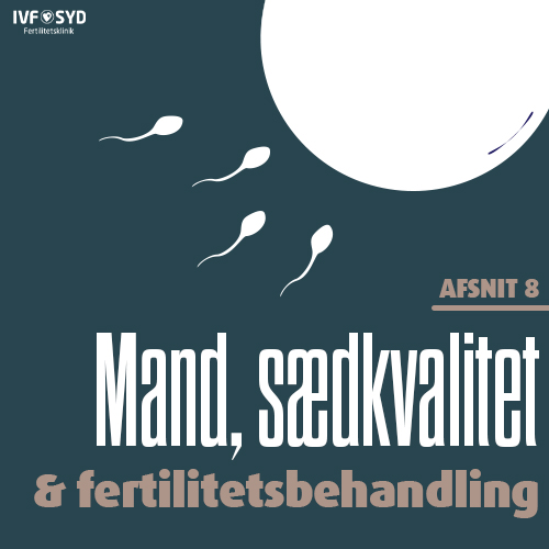 Mand, sædkvalitet & fertilitetsbehandling