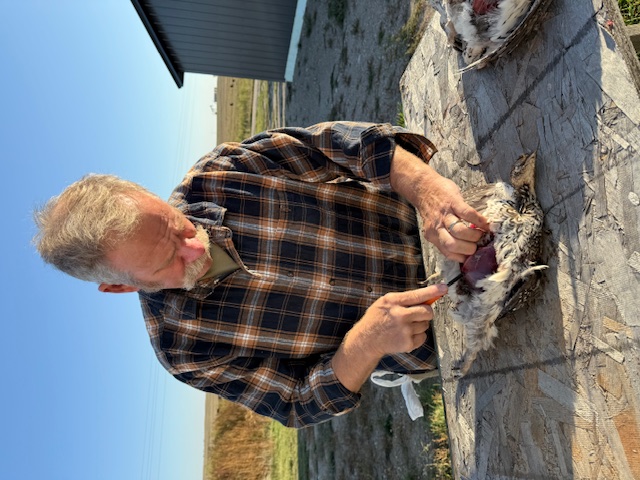 South Florida Bird Doggin' with Bo Moyer!