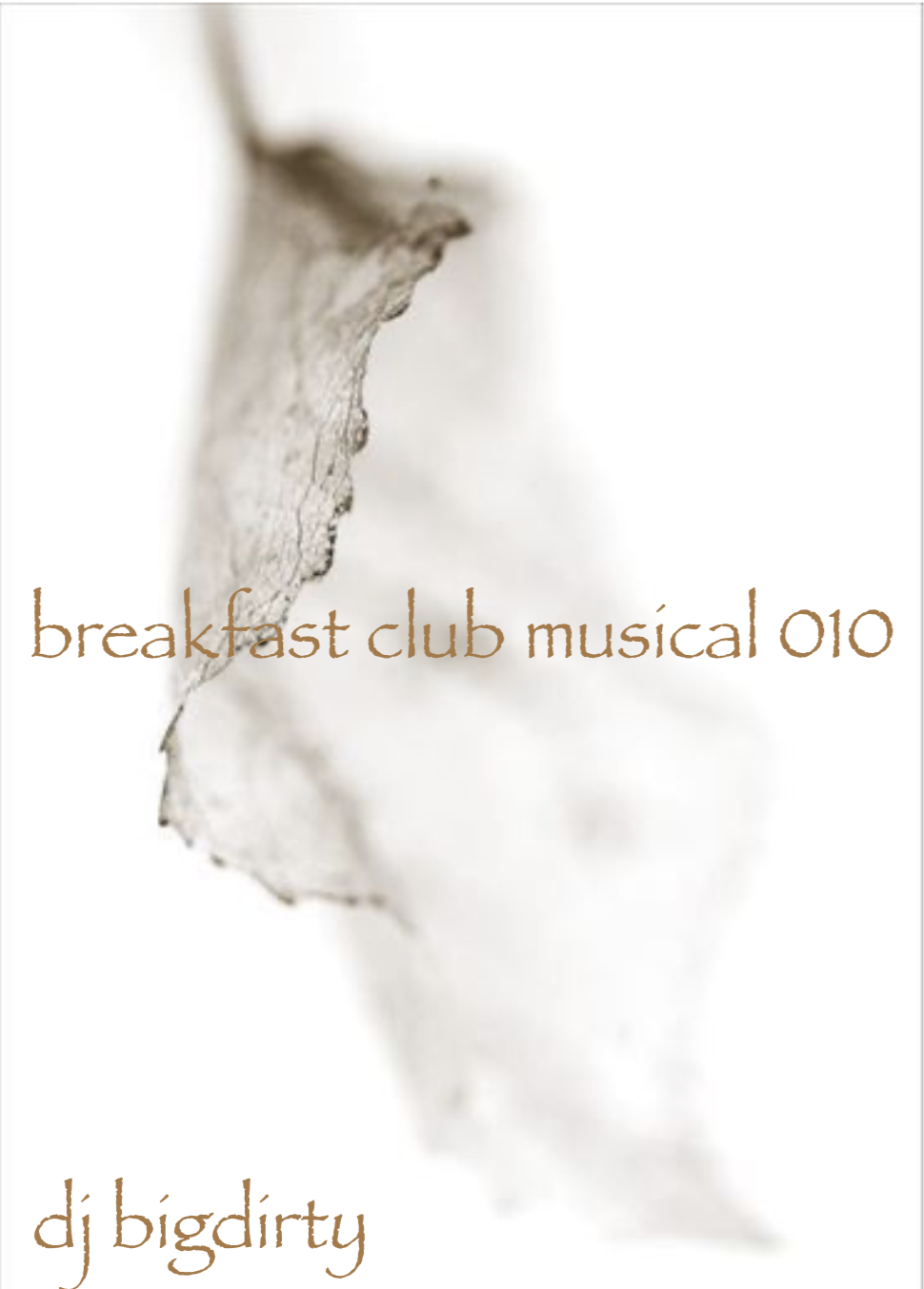 dj bigdirty\'s: night club musical