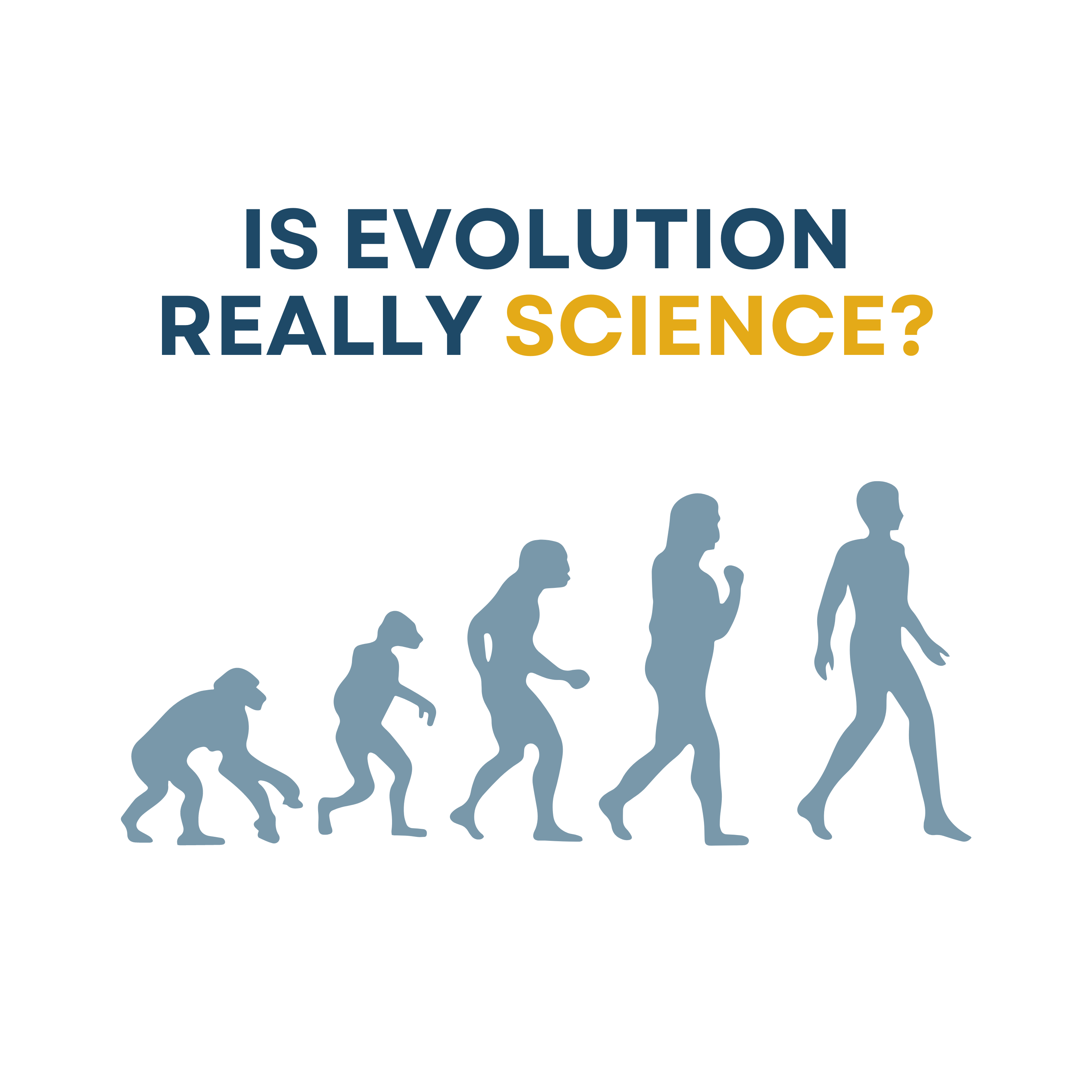 The Pentecostal Perspective