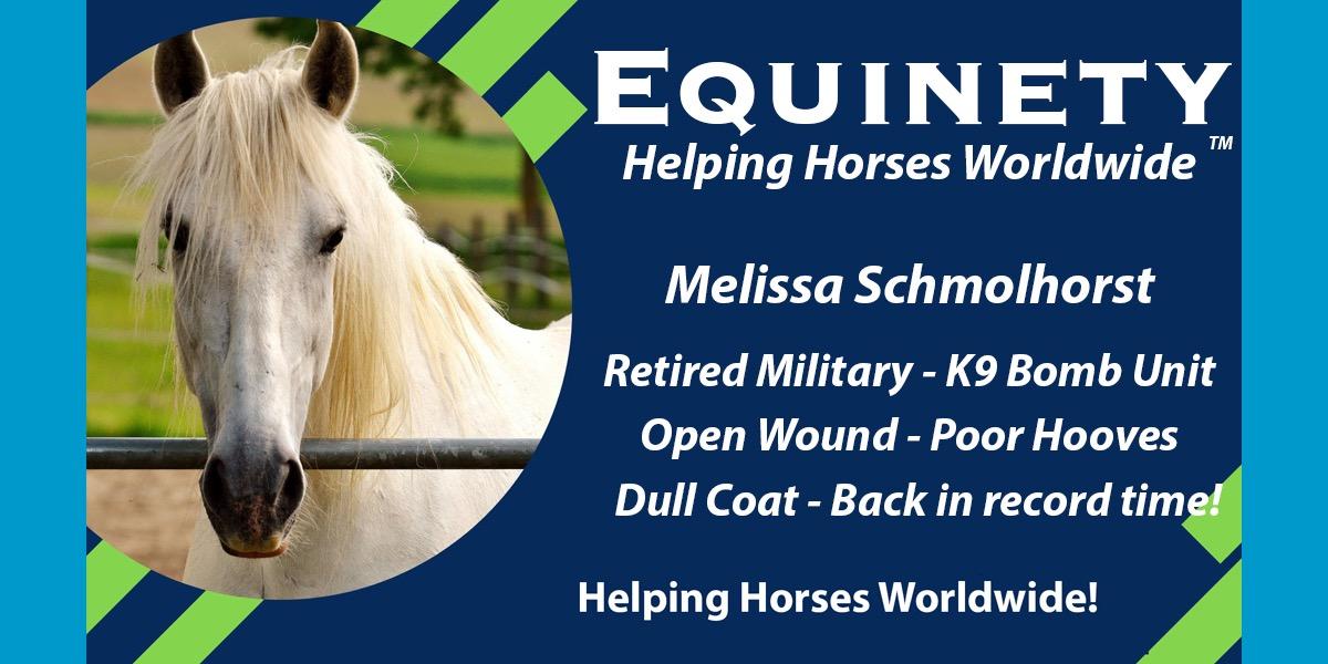 Team Equinety Podcast