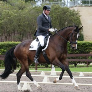 0731: Jim Collin LC - Successful Dressage Competitor, Specialising in Riding and Training Young Warmbloods (Listeners' Choice)