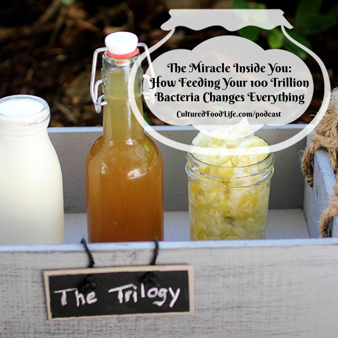 Episode 337: The Miracle Inside You: How Feeding Your 100 Trillion Bacteria Changes Everything