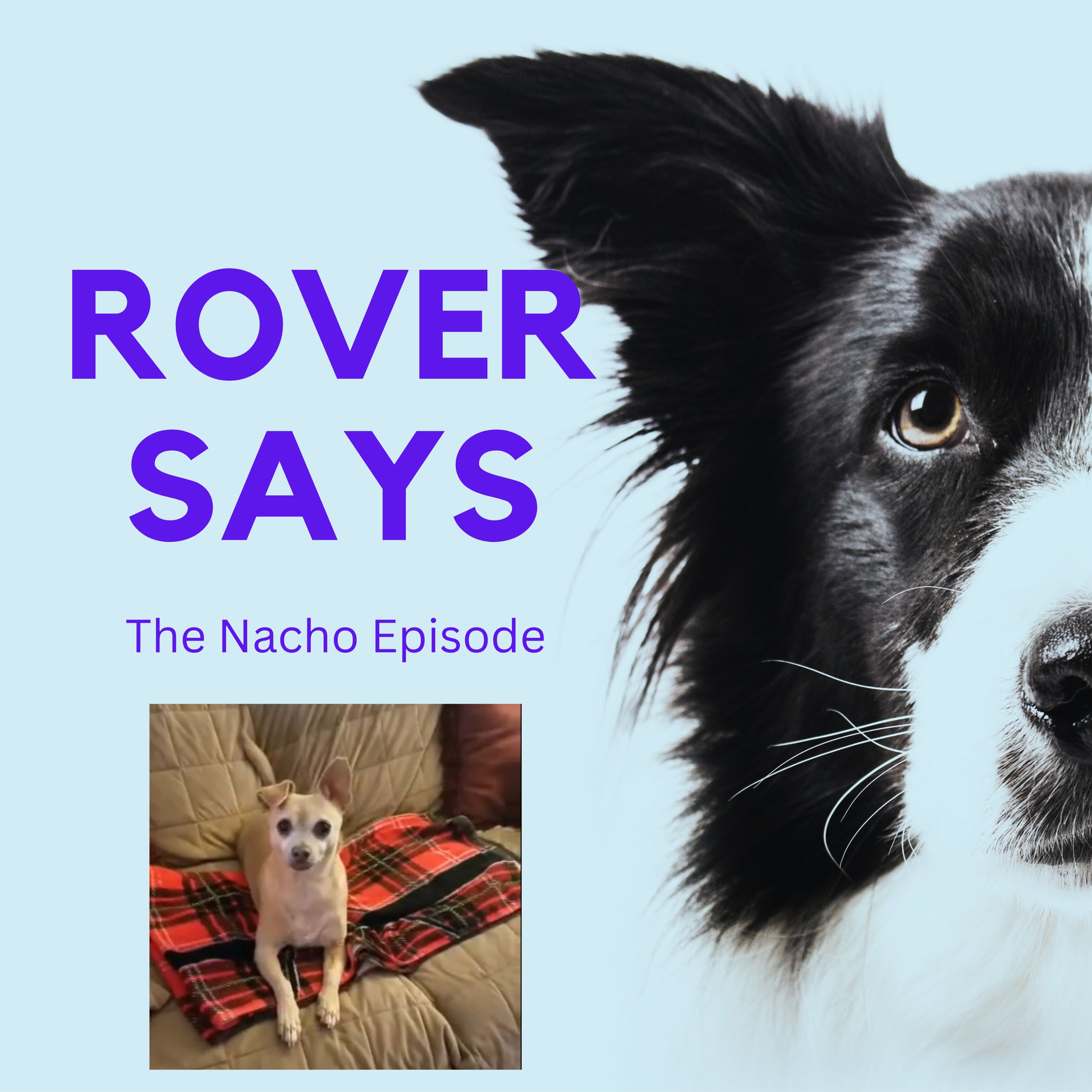 Rover Says