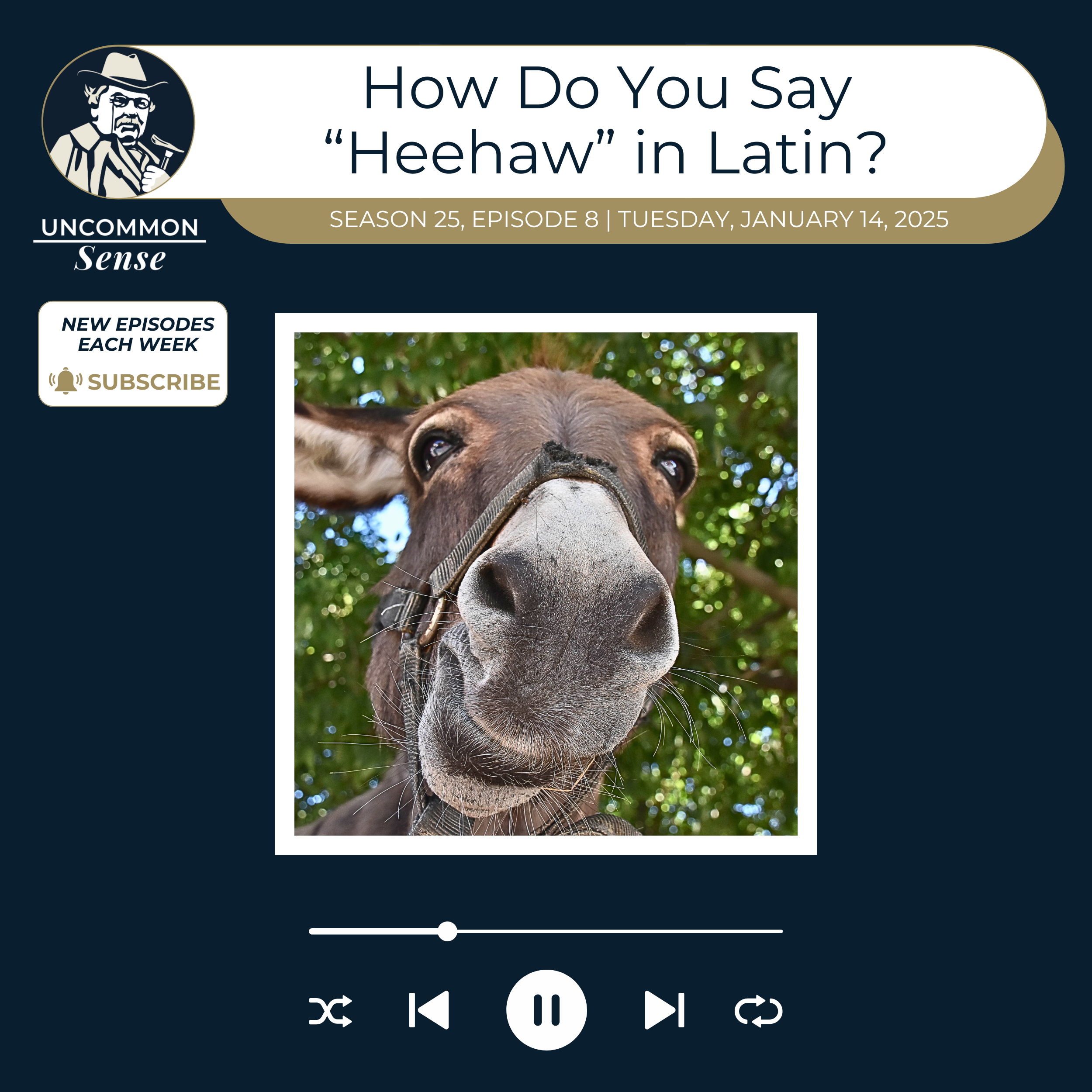 How Do You Say "Heehaw" in Latin?