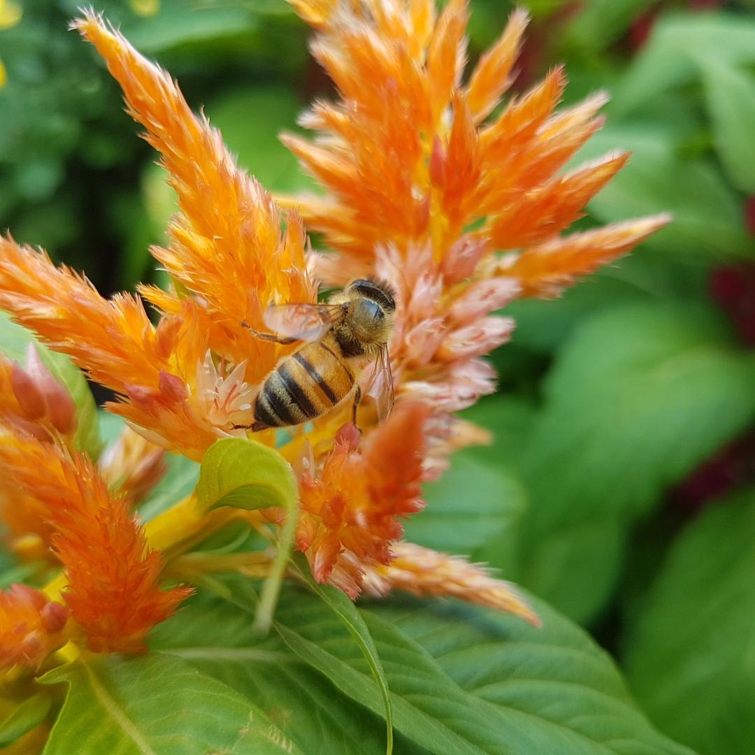 Donna-Michelle St. Bernard - Thought 8 - PRETTY