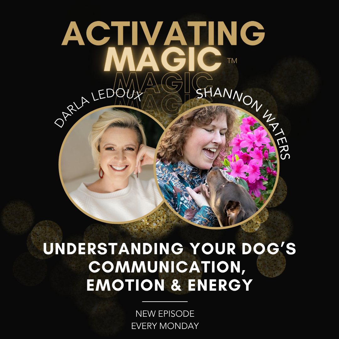 Understanding Dog Communication for a Deeper Intuitive Bond with Shannon Waters