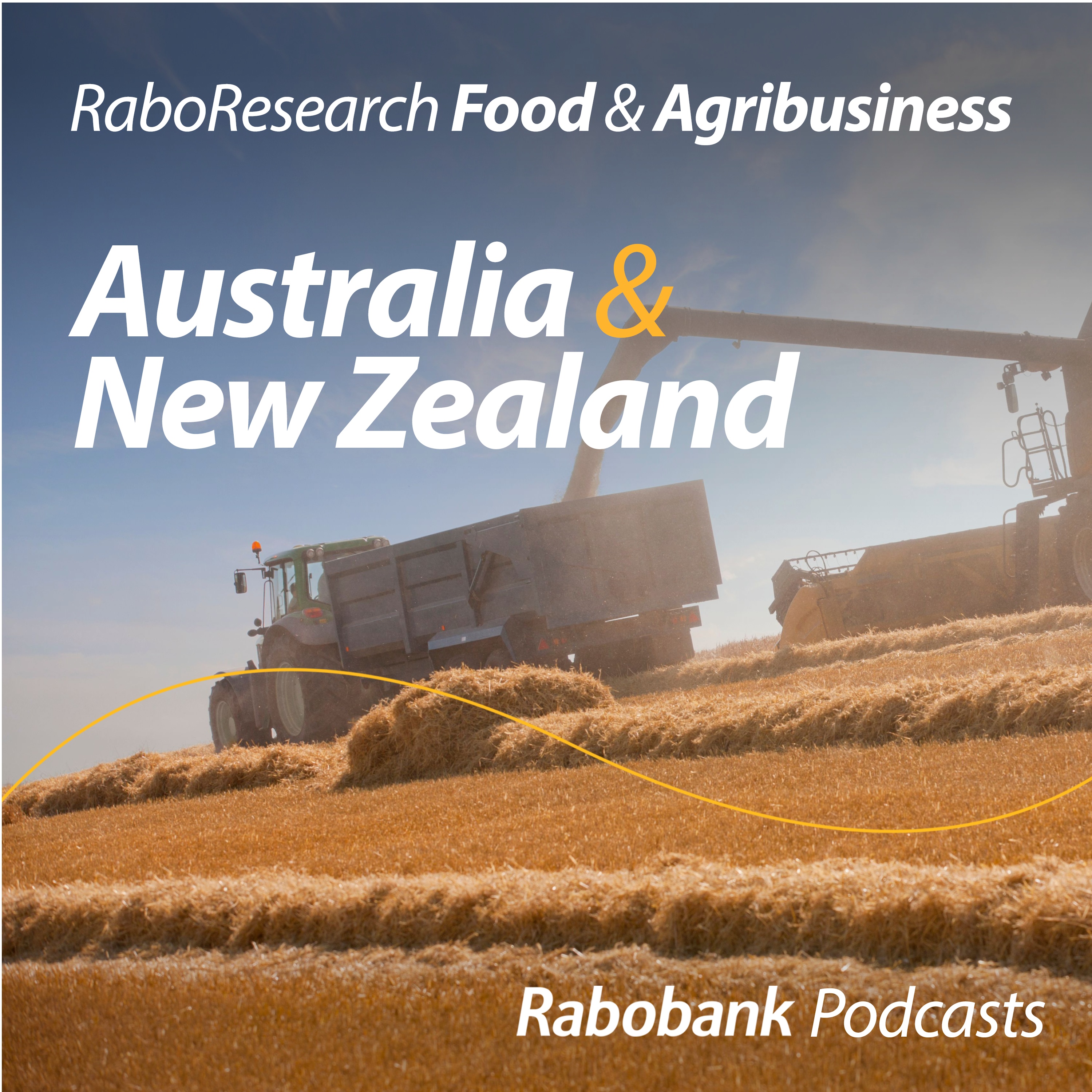 Navigating wheat markets: Is a price tailwind on the horizon?