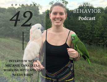 The Avian Behavior Podcast